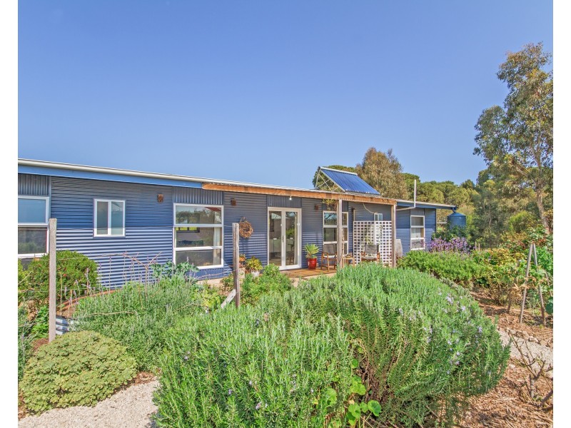 9  Clematis Walk, Aldinga Beach SA 5173