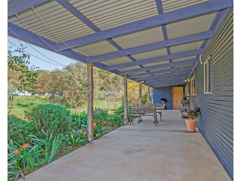 9  Clematis Walk, Aldinga Beach SA 5173
