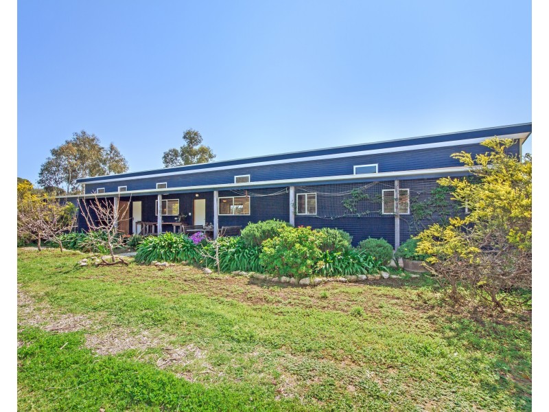 9  Clematis Walk, Aldinga Beach SA 5173