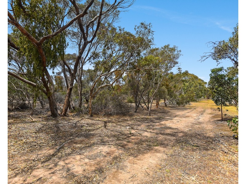 52  Dover Street, Aldinga Beach SA 5173