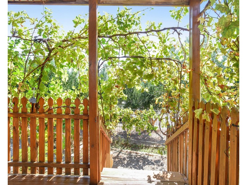 43 Wellington Avenue, Sellicks Beach SA 5174