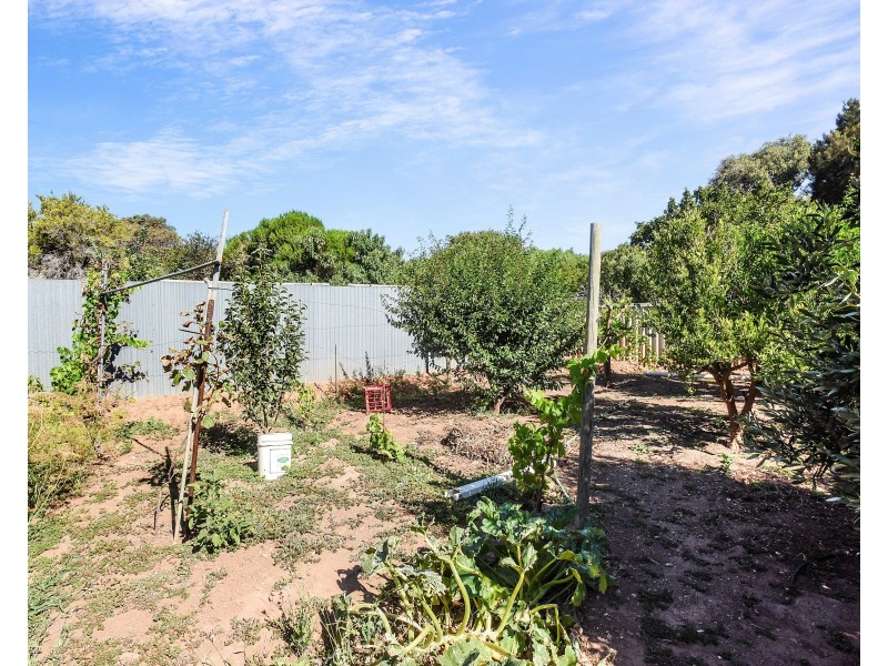 43 Wellington Avenue, Sellicks Beach SA 5174