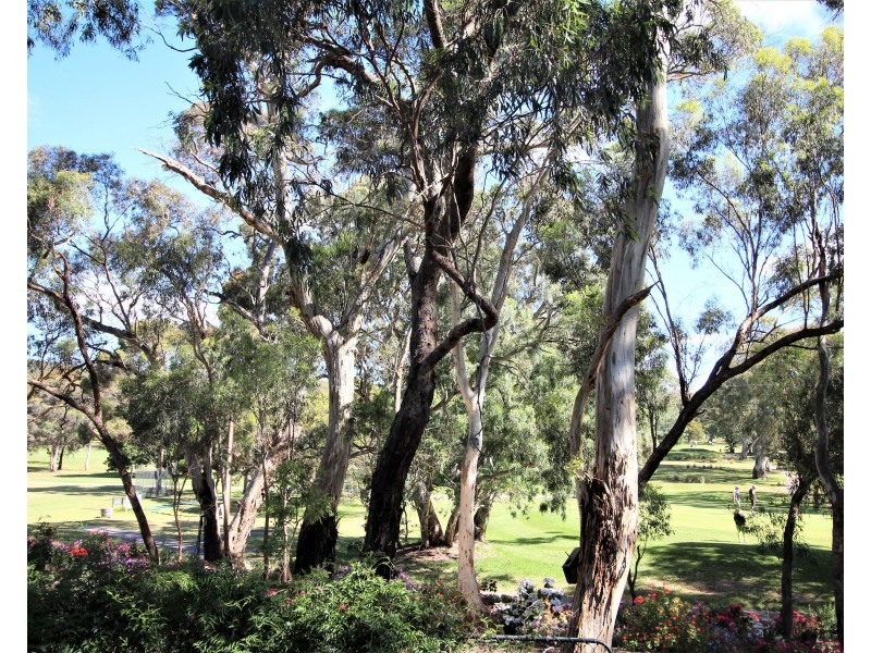 26 Miller Drive, Happy Valley SA 5159