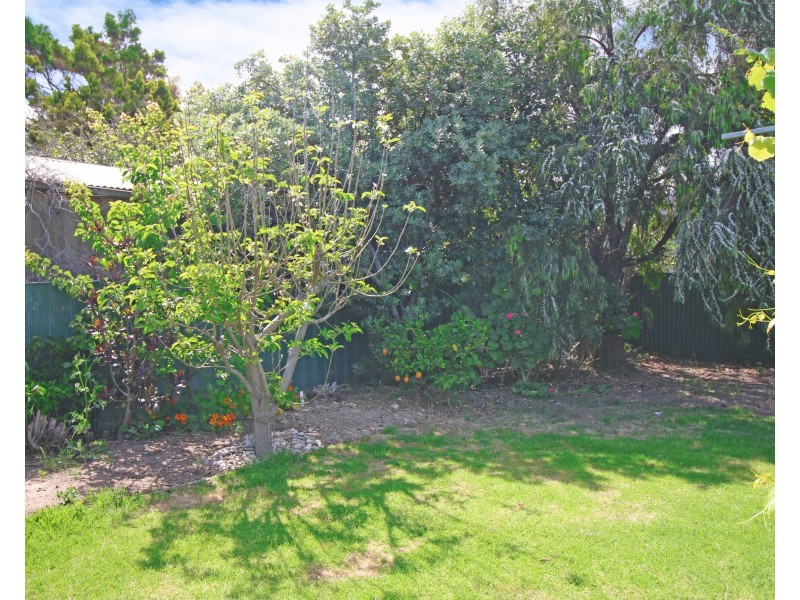 31 Harvey Crescent, Aldinga Beach SA 5173