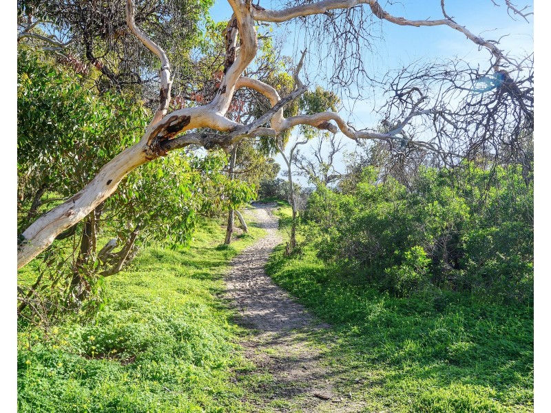 40 Kestrel Terrace, Aldinga Beach SA 5173