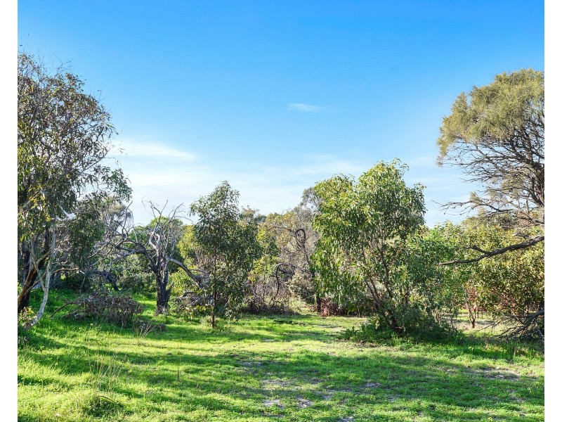 40 Kestrel Terrace, Aldinga Beach SA 5173