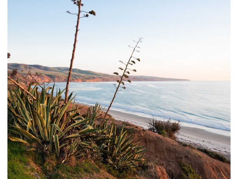 120 Wellington Avenue, Sellicks Beach SA 5174