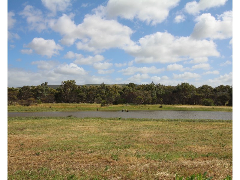 71 Sun Orchid Drive (Lot 132), Chiton, Hayborough SA 5211