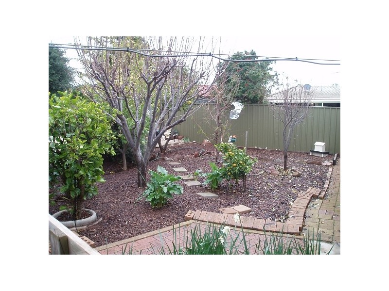 19 Springvale Dv, Blakeview SA 5114