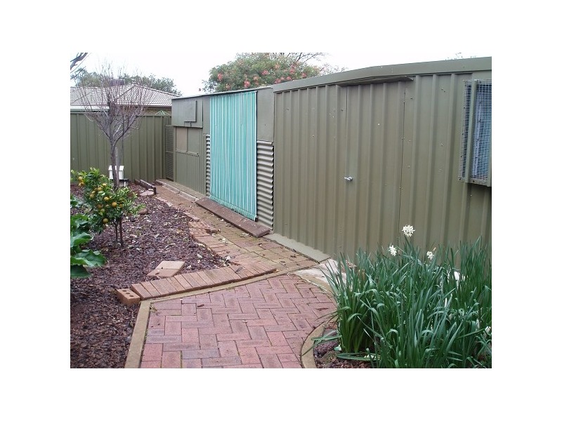 19 Springvale Dv, Blakeview SA 5114