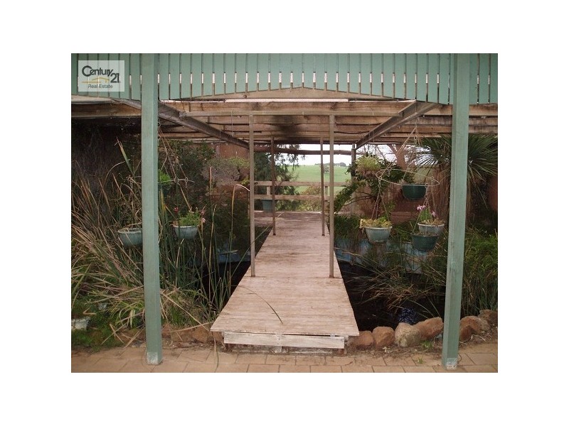 Lt 493 Alexander Avenue, Bibaringa SA 5118