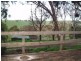 Lt 493 Alexander Avenue, Bibaringa SA 5118