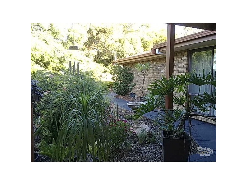 6 Reid Road, Waikerie SA 5330