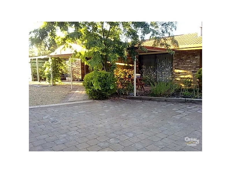 6 Reid Road, Waikerie SA 5330