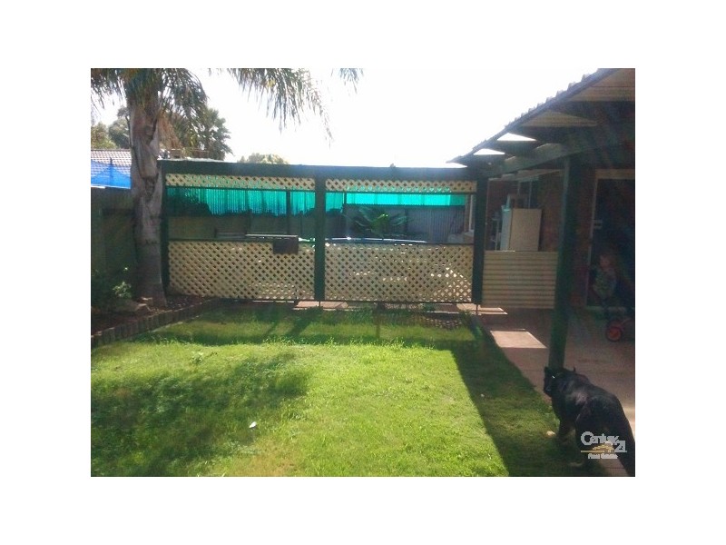 4 Carabeen Crescent, Andrews Farm SA 5114