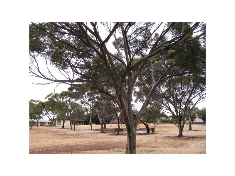 23 Neville Avenue, Modbury North SA 5092