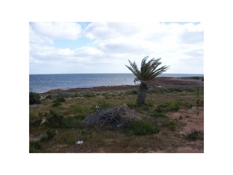 1 Tern Court, North Beach SA 5556