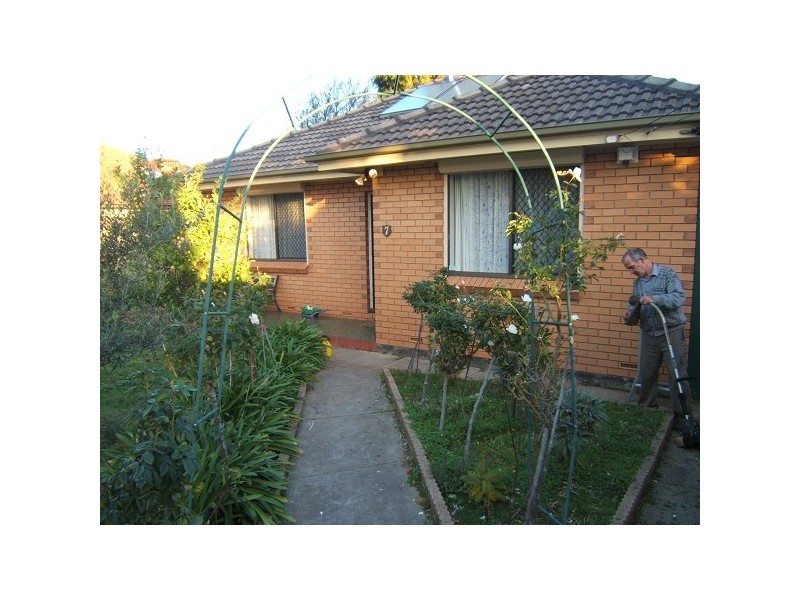 7 Hazel Grove, Ridgehaven SA 5097