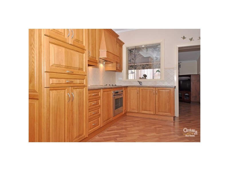 46 Dudley Avenue, Daw Park SA 5041