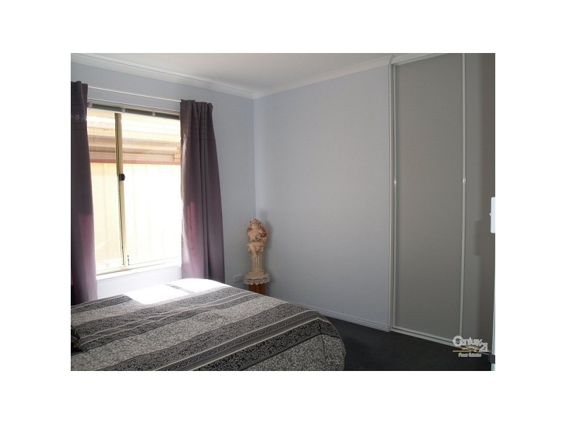 55 Lionel Ave, Blair Athol SA 5084