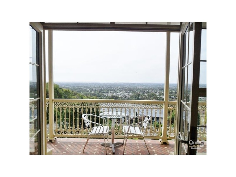 16 Bushy Park  Drive, Auldana SA 5072