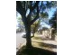 Unley SA 5061
