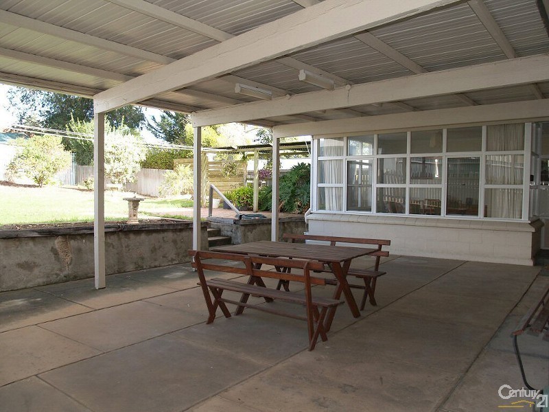 19 Taunton Ave, Enfield SA 5085