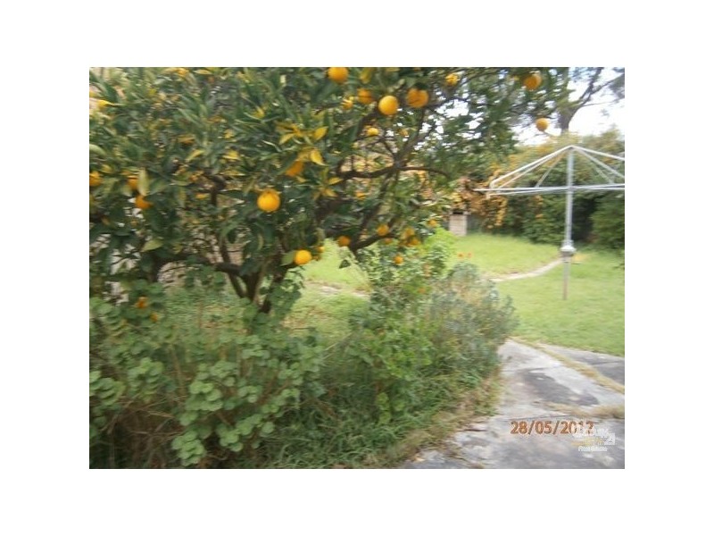 8 Woodcroft Avenue, St Georges SA 5064