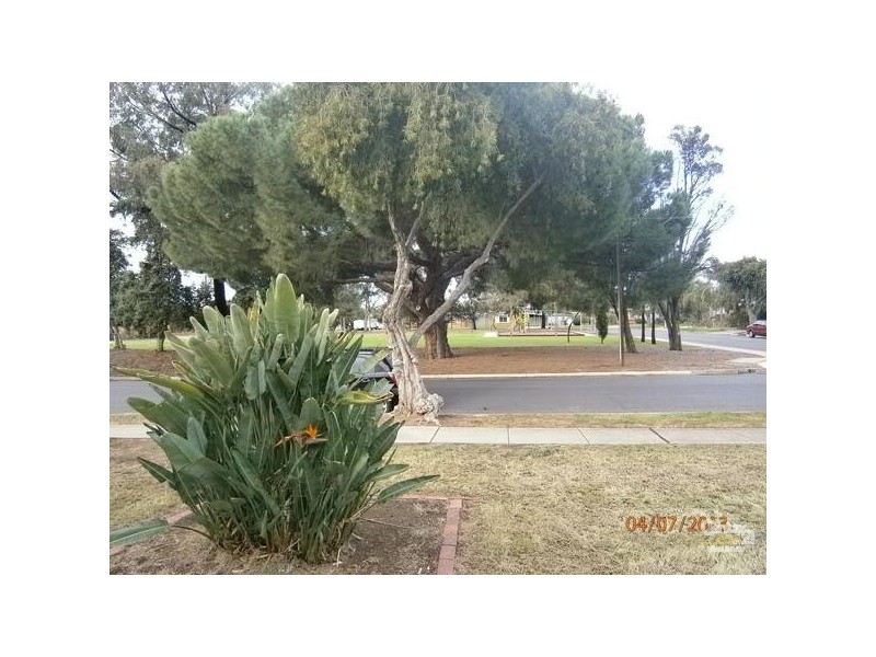 22 Young Street, Croydon Park SA 5008