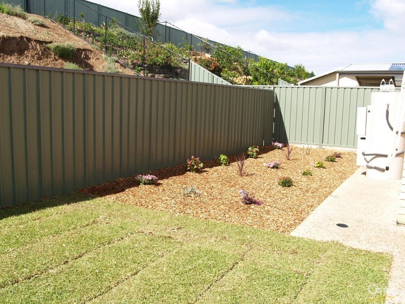 59 Hindmarsh Circuit, Mawson Lakes SA 5095