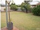13 FRANCIS AVENUE, Broadview SA 5083