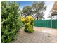 17 Buccleuch Ave, Findon SA 5023