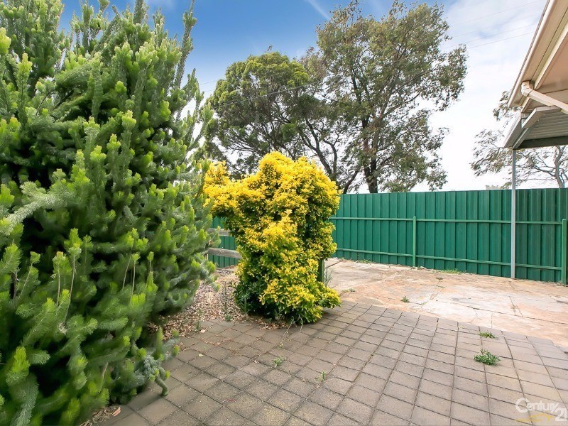 17 Buccleuch Ave, Findon SA 5023