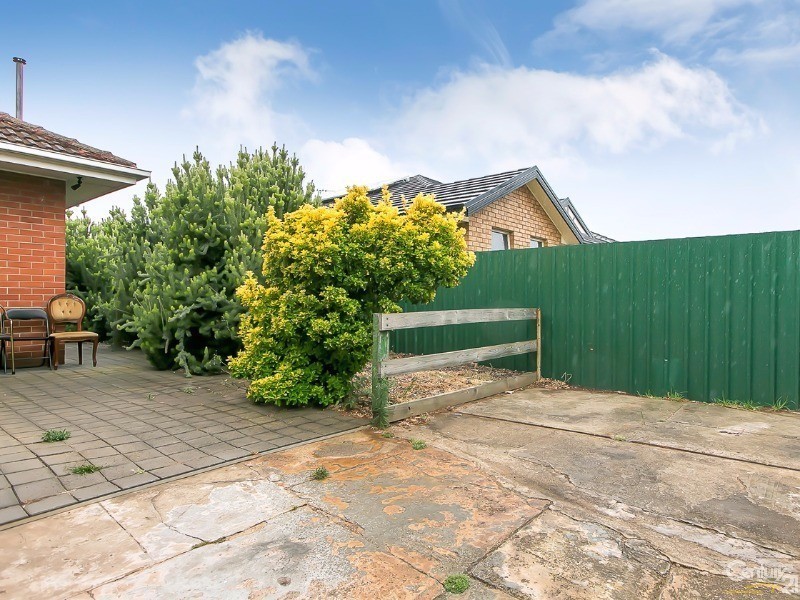 17 Buccleuch Ave, Findon SA 5023