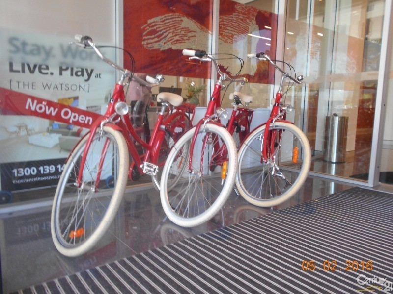 417 Warwick Street, Walkerville SA 5081