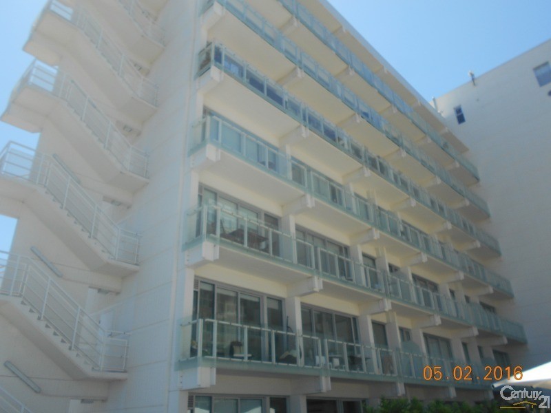 417 Warwick Street, Walkerville SA 5081