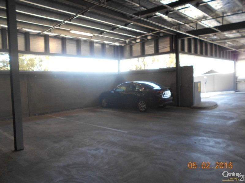 417 Warwick Street, Walkerville SA 5081