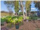 7 Lema Avenue, Fairview Park SA 5126