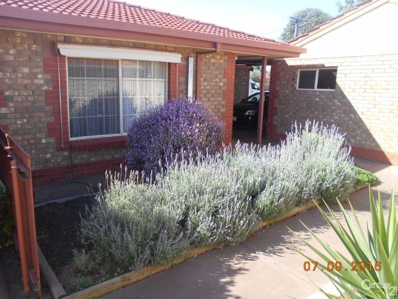 1/6 Plymouth Ave, Devon Park SA 5008