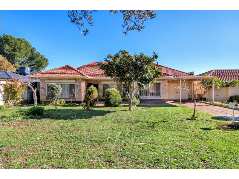 7 Greenwillow Ave, Paradise SA 5075