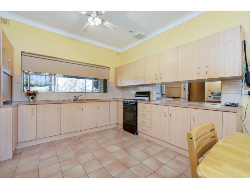 7 Greenwillow Ave, Paradise SA 5075