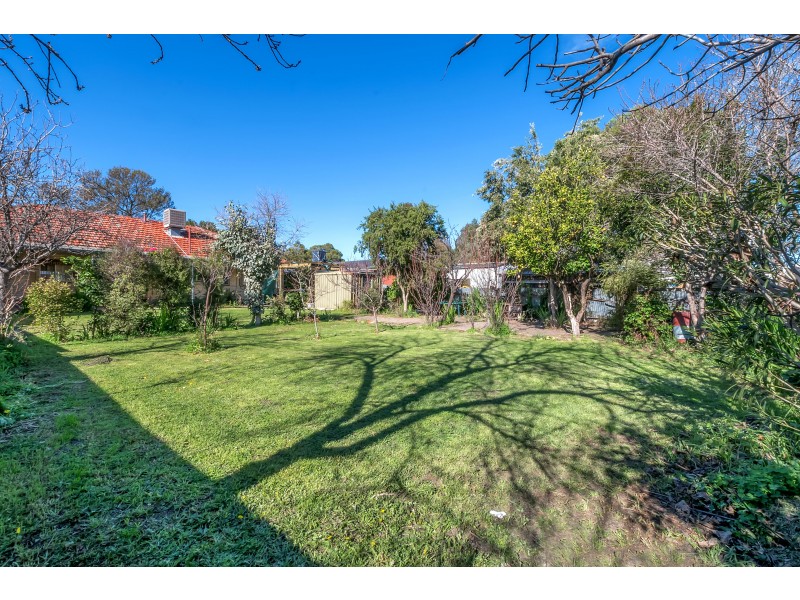 7 Greenwillow Ave, Paradise SA 5075