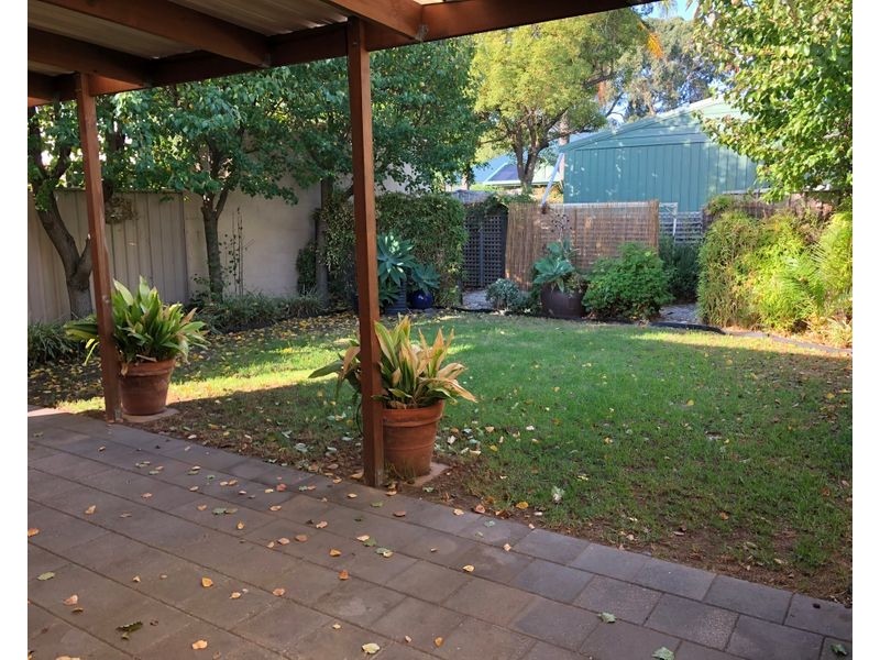 4a Douglas Street, Lockleys SA 5032