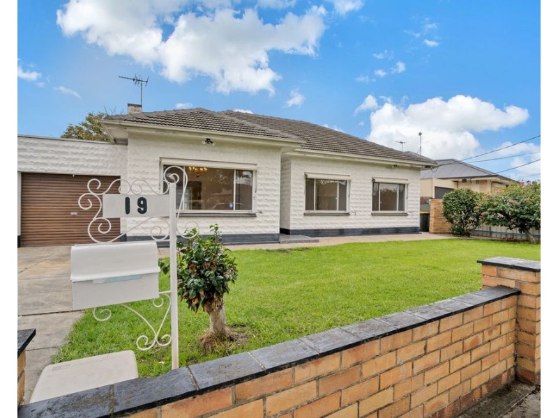 19 Minerva Crescent, Croydon Park SA 5008