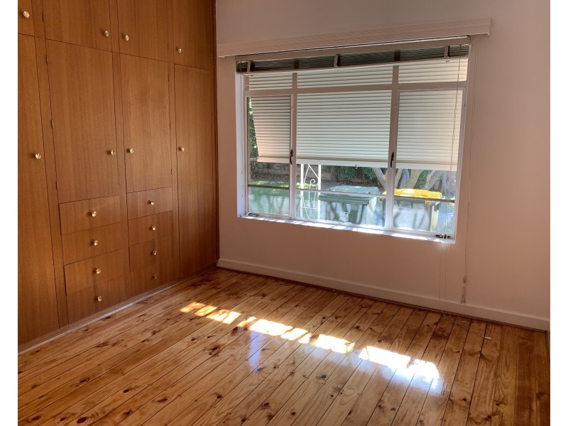 20 Markham Avenue, Enfield SA 5085