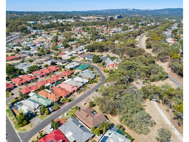 8 Trellios St, Modbury SA 5092