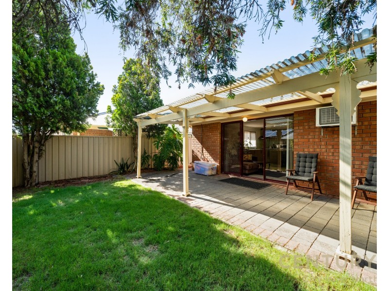 8 Trellios St, Modbury SA 5092