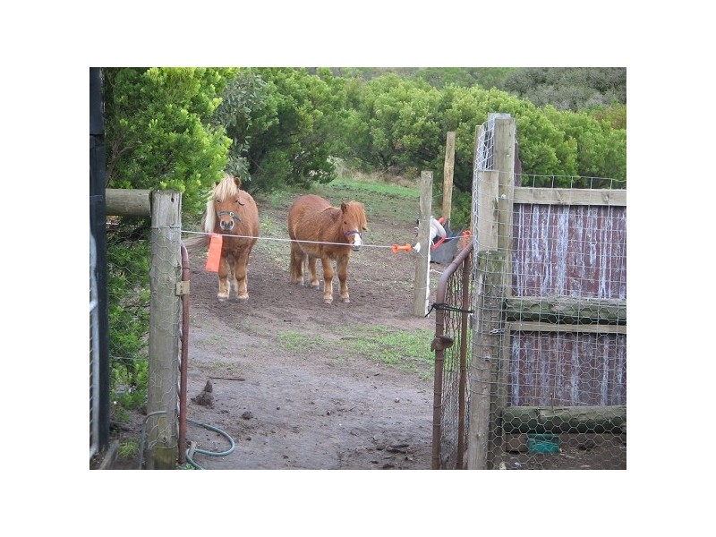 6215 PORTLAND ROAD, Nelson VIC 3292