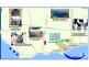 SEC 802 Springs Road, Port Macdonnell SA 5291