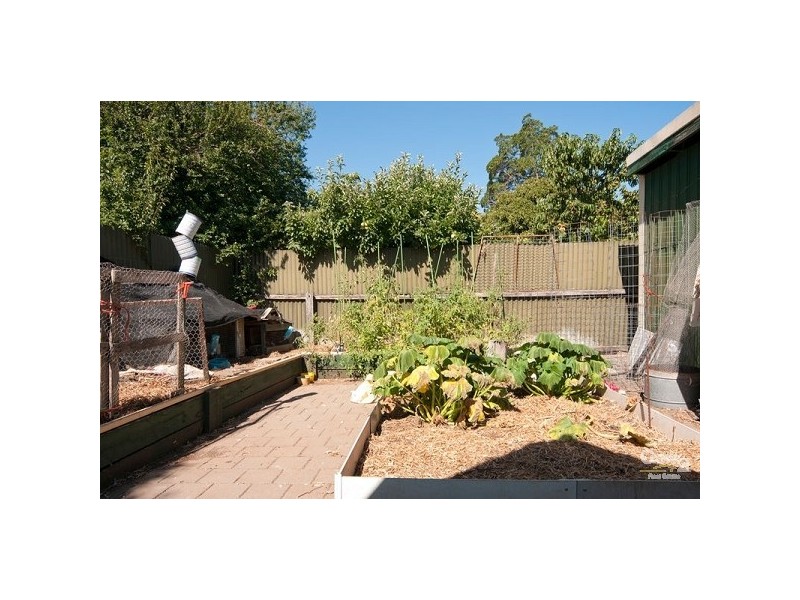 15 McBean Avenue, Holden Hill SA 5088